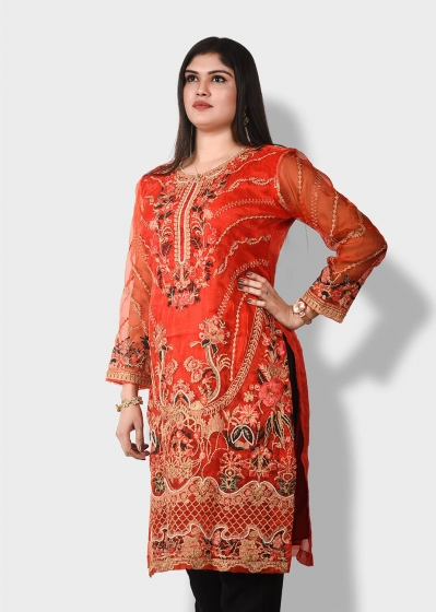 Pakistani One Piece -015