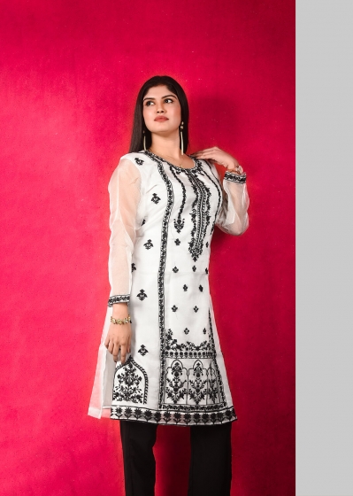 Pakistani One Piece -016